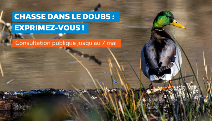 Chasse dans le Doubs : Exprimez-vous !